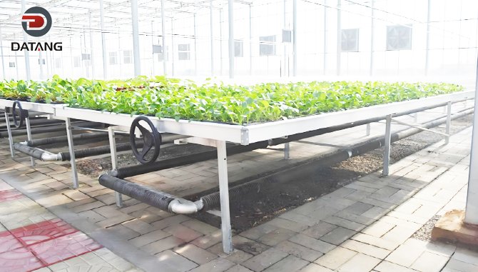 Fin tube radiator for vegetable cultivation